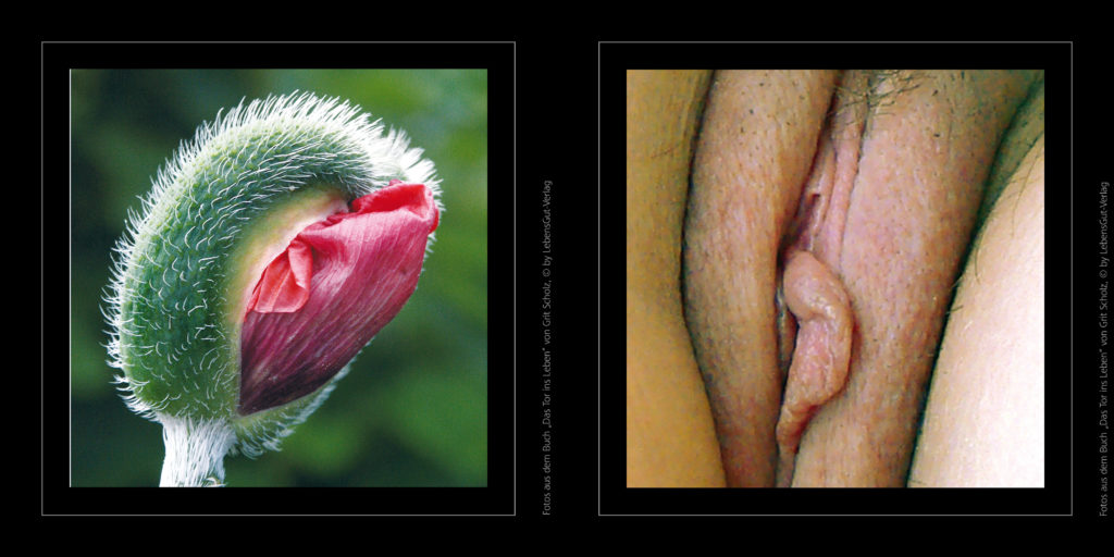 Vulva-Fotografien aus Das Tor ins Leben von Grit Scholz