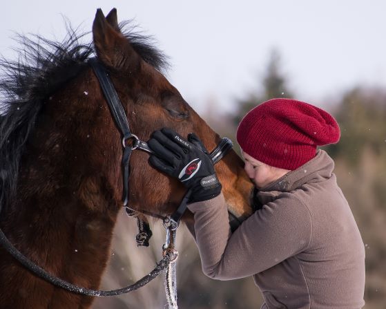 Tierkommunikation zwischen Mensch und Pferd