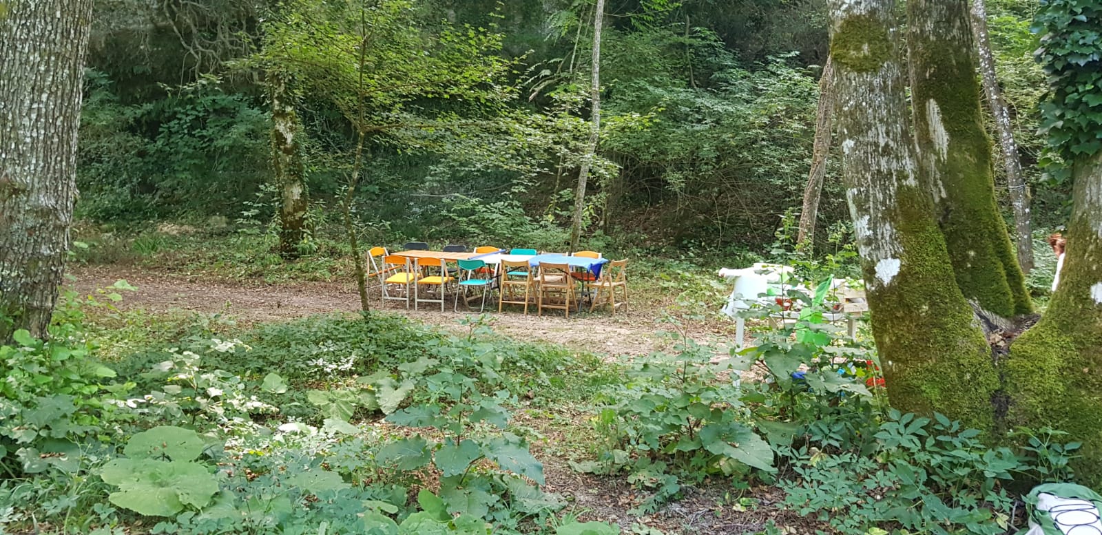 Ein Tisch, draußen in der Natur