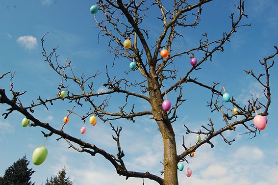 Ostereier symbolisieren die Fruchtbarkeit der Natur zum Jahreskreisfest Ostara